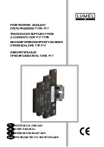 Preview for 1 page of Lumel P17 User Manual