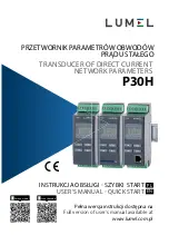 Lumel P30H User Manual & Quick Start предпросмотр