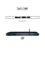 Luminex Ethernet - DMX8 / WiFi User Manual предпросмотр