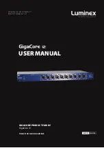 Luminex GigaCore 10 User Manual preview