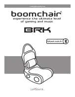 Preview for 1 page of LumiSource BoomChair BRK Owner'S Manual