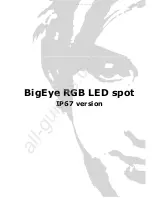 LUX LUMEN BigEye RGB LED spot IP67 version Operation User'S Manual preview