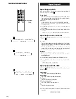 Предварительный просмотр 22 страницы Luxman DVA-250 Owner'S Manual