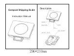 Preview for 1 page of LW MEASUREMENTS CSS220 Instruction Manual