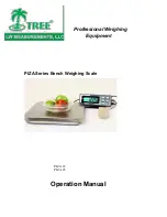 LW MEASUREMENTS PIZA 12 Operation Manual preview