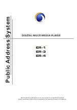 LY International Electronics ER-1 Manual preview