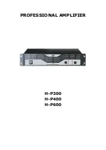 LY International Electronics H-P300 Instruction Manual предпросмотр