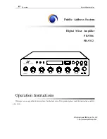 LY International Electronics PB-9306 Operation Instructions Manual предпросмотр