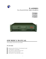 LY International Electronics PB4000 Owner'S Manual предпросмотр