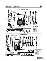 Предварительный просмотр 31 страницы Lynx L27 Series Care & Use Manual