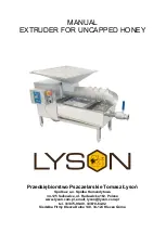 LYSON W20970 Manual предпросмотр