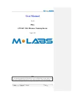 M-Labs PM-L User Manual preview