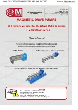 M Pumps V MODULAR Series User Manual preview