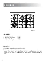 Preview for 166 page of M-system FN 96 Instruction For The Use - Installation Advice