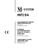 M-system MFI 94 Instructions For The Use предпросмотр