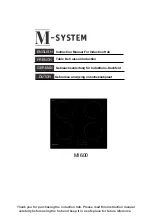 Предварительный просмотр 1 страницы M-system MI600 Instruction Manual