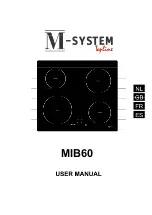 Preview for 1 page of M-system MIB60 User Manual