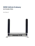 M2M IDG701AM-0T001 User Manual preview