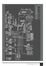 Предварительный просмотр 35 страницы MAAX Coleman Spas 100 Series Manual