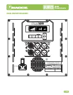 Preview for 5 page of Mackie DLM12S Specifications