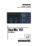 Mackie Final Mix VST Manual preview