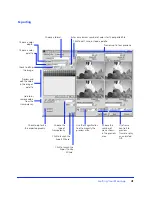 Preview for 41 page of MACROMEDIA FIREWORKS 2 Use Manual