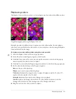 Preview for 91 page of MACROMEDIA FIREWORKS 8-USING FIREWORKS Use Manual