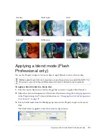 Preview for 241 page of MACROMEDIA FLASH 8-USING FLASH Use Manual