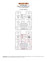 Mad Bean Pedals Woodstock Quick Start Manual preview