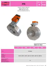 Preview for 1 page of Madas DN 50 Technical Manual