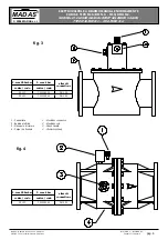 Предварительный просмотр 4 страницы Madas M16/RM N.C. DN 65 EEX Manual