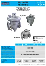 Madas RG/2MBHZ Manual preview