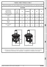 Preview for 43 page of Madas RG/2MBLZ DN 80 Technical Manual