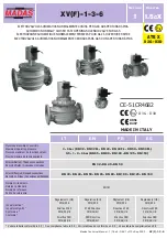 Madas XV(F)-1-3-6 Manual preview