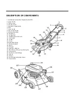 Предварительный просмотр 50 страницы MADER GARDEN TOOLS TZ51SF-RV170 Manual