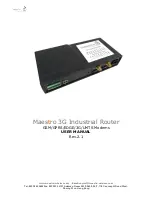 Preview for 1 page of Maestro 3G Industrial Router User Manual