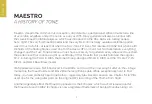 Preview for 2 page of Maestro FUZZ-TONE FZ-M User Manual