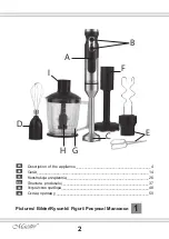 Preview for 2 page of Maestro MR567 Owner'S Manual