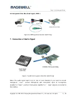 Preview for 7 page of Magewell XI100XE-PRO User Manual