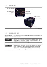 Preview for 7 page of Magicfx FLAMEBLAZER User And Installation Manual