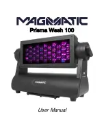 MAGMATIC Prisma Wash 100 User Manual предпросмотр