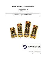 Preview for 1 page of Magnetek Flex EX Series Instruction Manual