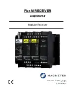 Preview for 1 page of Magnetek Flex M Manual