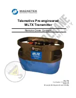 Magnetek Telemotive MLTX Manual preview