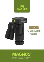 Предварительный просмотр 1 страницы Magnus PG-6 Quick Start Manual