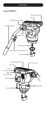 Предварительный просмотр 4 страницы Magnus Rex VT-5000 Owner'S Manual