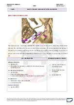 Preview for 212 page of Mahindra Quanto Ems Diagnostic Manual