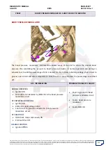 Preview for 220 page of Mahindra Quanto Ems Diagnostic Manual