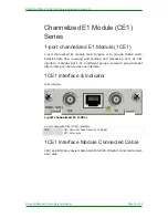 Предварительный просмотр 24 страницы Maipu MP1700E Series Installation Manual