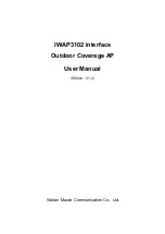 Maiwe IWAP3102 User Manual preview